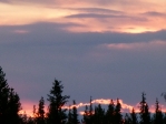 midsummer